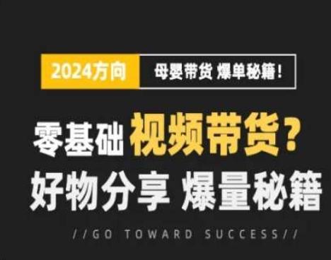 短视频母婴赛道实操流量训练营，零基础视频带货，好物分享，爆量秘籍-百货大全