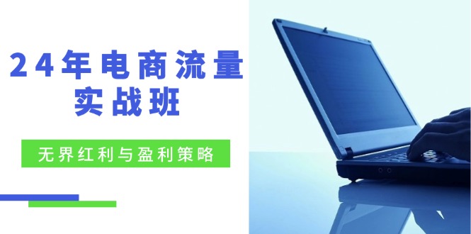 24年电商流量实战班：无界 红利与盈利策略，终极提升/关键词优化/精准…-百货大全