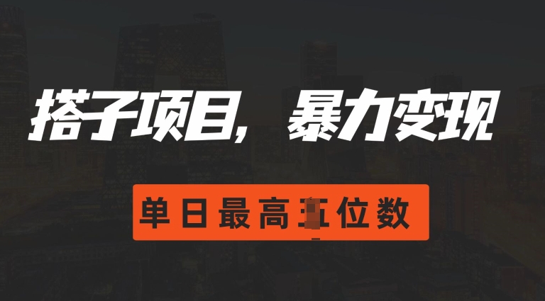 2024搭子玩法，0门槛，暴力变现，单日最高破四位数【揭秘】-百货大全