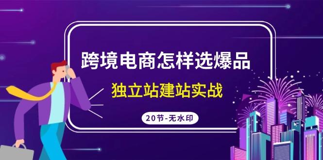 (9369期)跨境电商怎样选爆品，独立站建站实战(20节高清无水印课)-百货大全