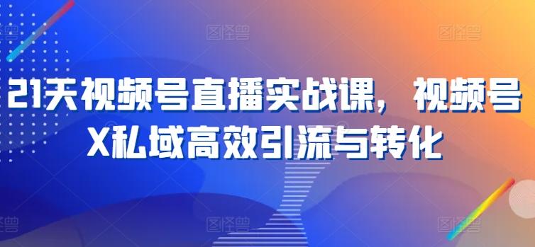 21天视频号直播实战课，视频号X私域高效引流与转化-百货大全
