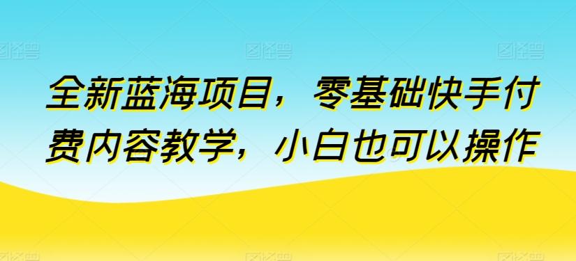 全新蓝海项目，零基础快手付费内容教学，小白也可以操作【揭秘】-百货大全