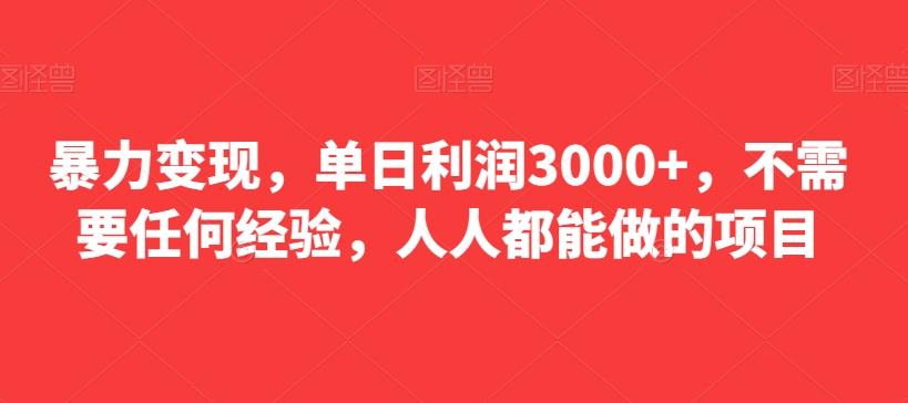 暴力变现，单日利润3000+，不需要任何经验，人人都能做的项目-百货大全