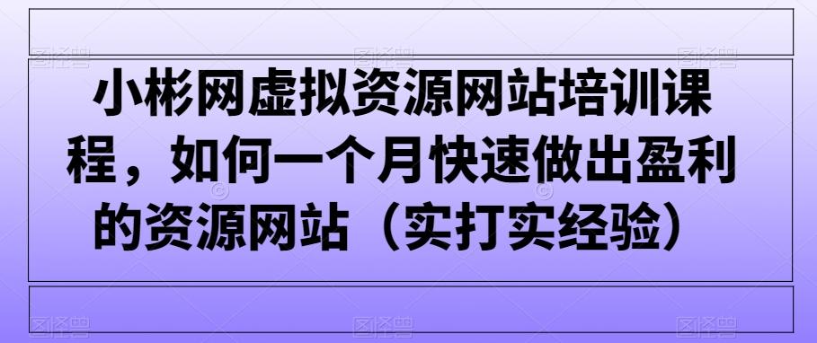 小彬网虚拟资源网站培训课程，如何一个月快速做出盈利的资源网站(实打实经验)-百货大全