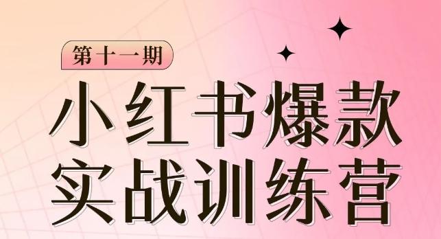 小红书博主爆款训练营第11期，手把手教你从0-1做小红书，从定位到起号到变现-百货大全