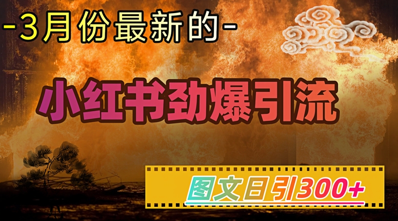 小红书超劲爆引流手段，图文日引300+轻松变现1W-百货大全
