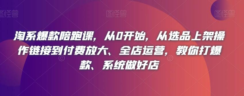 淘系爆款陪跑课，从0开始，从选品上架操作链接到付费放大、全店运营，教你打爆款、系统做好店-百货大全