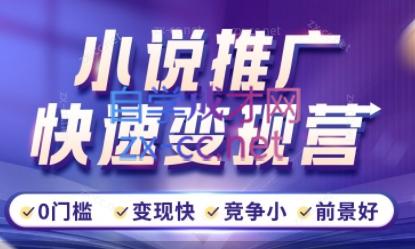 洲洲老师·小说推广快速变现营-百货大全