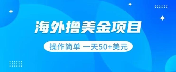 撸美金项目无门槛操作简单小白一天50+美刀-百货大全