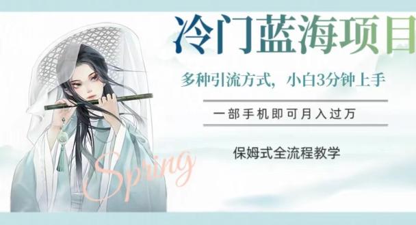 冷门蓝海项目，操作简单，小白3分钟上手，多种引流方式，保姆式全流程教学【揭秘】-百货大全
