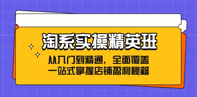 淘系实操精英班：从入门到精通，全面覆盖，一站式掌握店铺盈利秘籍-百货大全