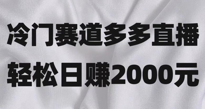 冷门赛道拼多多直播，简单念稿子，日收益2000＋【揭秘】-百货大全