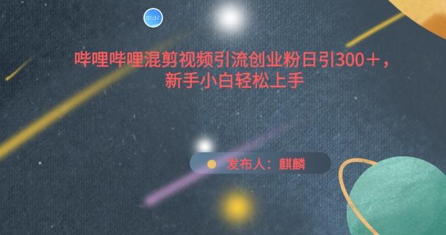 哔哩哔哩混剪视频引流创业粉日引300+，新手小白轻松上手【揭秘】-百货大全