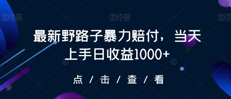 最新野路子暴力赔付，当天上手日收益1000+【仅揭秘】-百货大全