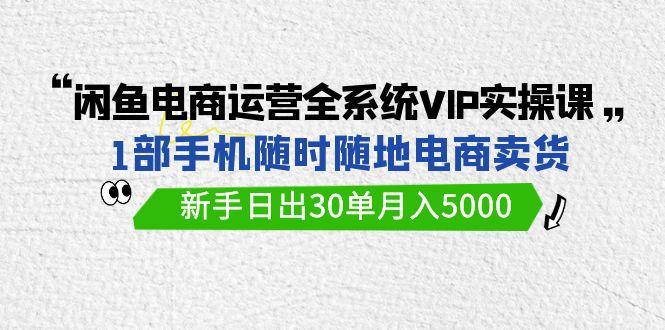 (9547期)闲鱼电商运营全系统VIP实战课，1部手机随时随地卖货，新手日出30单月入5000-百货大全