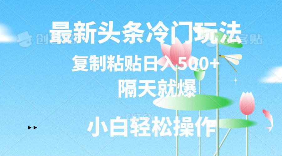 最新头条冷门玩法，隔天就爆，复制粘贴日入500+-百货大全