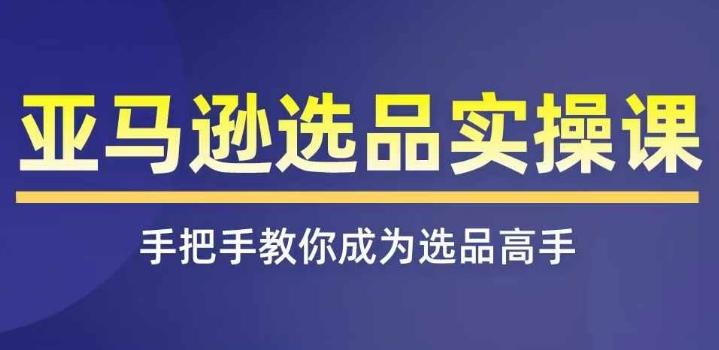 亚马逊选品实操课程，快速掌握亚马逊选品的技巧，覆盖亚马逊选品所有渠道-百货大全