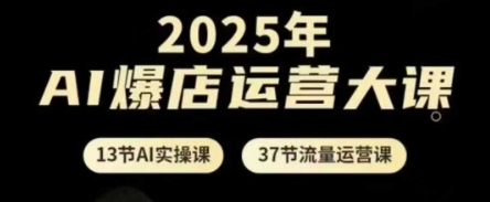2025年AI爆店运营大课，13节AI实操课+37节流量运营课-百货大全