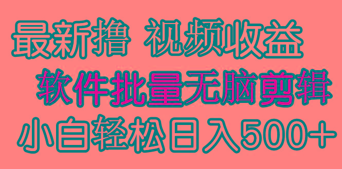 (9569期)发视频撸收益，软件无脑批量剪辑，第一天发第二天就有钱-百货大全