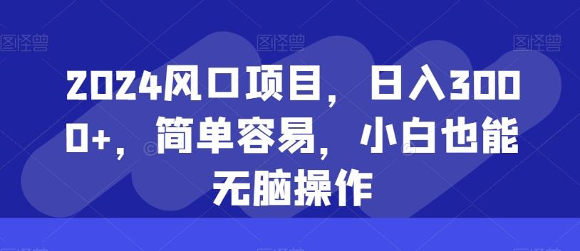 2024风口项目，日入3000+，简单容易，小白也能无脑操作-百货大全