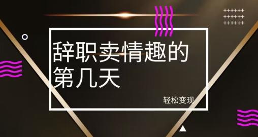冷门赛道，辞职卖情趣的第几天，超暴力项目-百货大全