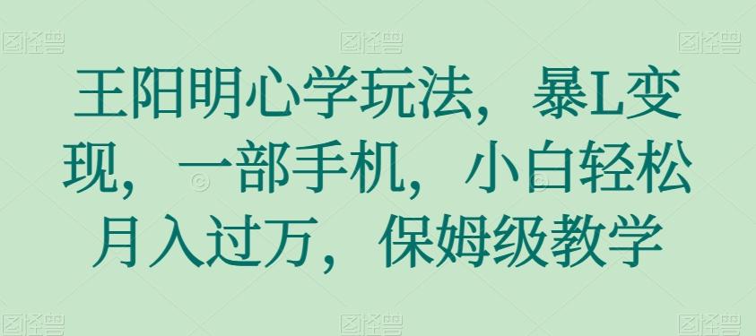 王阳明心学玩法，暴L变现，一部手机，小白轻松月入过万，保姆级教学【揭秘】-百货大全