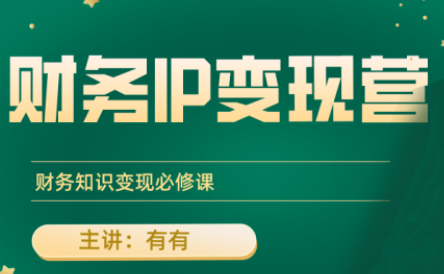 有有老师·财务IP变现营，财务知识变现必修课-百货大全
