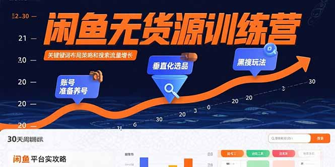 闲鱼无货源训练营：账号准备养号/垂直化选品/黑搜玩法，0基础30天盈利指南-百货大全