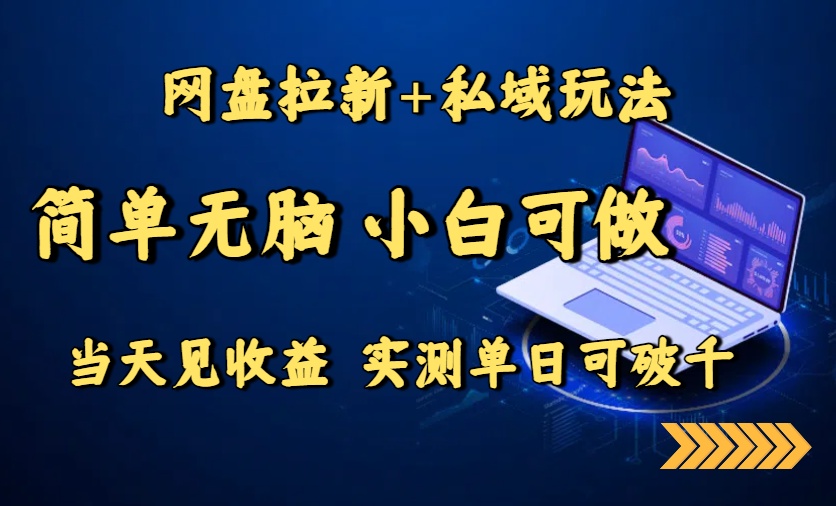 网盘拉新+私域玩法，简单无脑，小白可做，当天见收益，实测单日可破千-百货大全