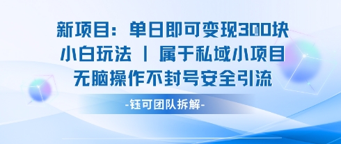 新项目单日即可变现3张的小白玩法无脑操作不封号安全引流-百货大全