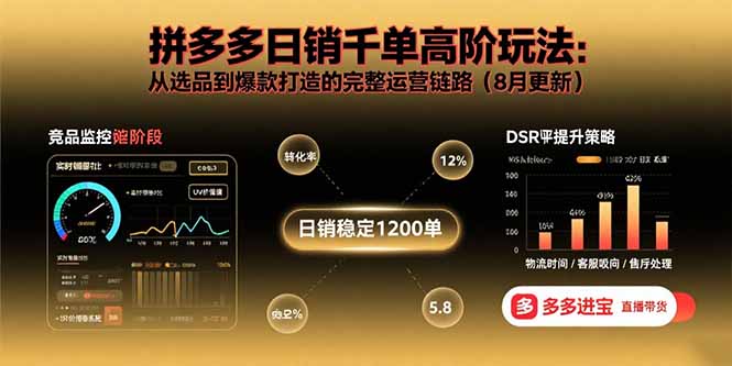 拼多多日销千单高阶玩法：从选品到爆款打造的完整运营链路(8月更新-百货大全