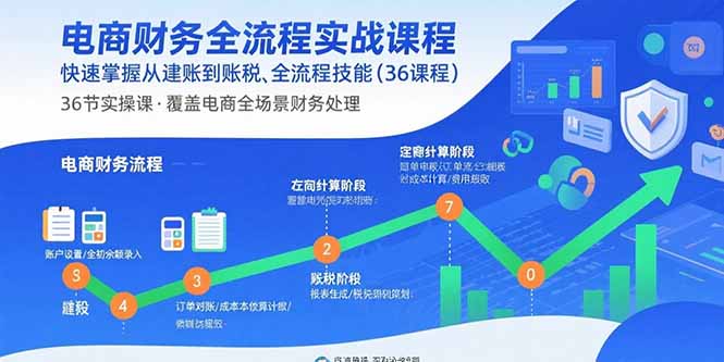电商财务全流程实战课程：快速掌握从建账到报税的全流程技能(36节课-百货大全