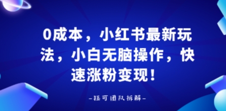 0成本，小红书最新玩法，小白无脑操作，快速涨粉变现-百货大全