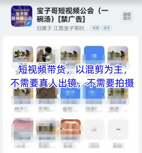 宝子哥头部团队短视频带货，以混剪为主，不需要真人出镜，不需要拍摄【更新9月】-百货大全