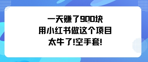 一天挣了9张用小红书做这个项目太牛了，空手套-百货大全