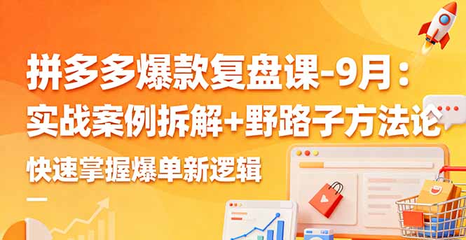 拼多多爆款复盘课-9月：实战案例拆解+野路子方法论，快速掌握爆单新逻辑-百货大全
