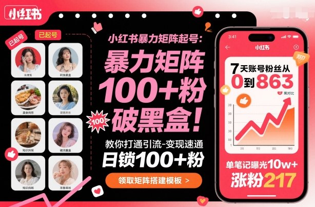小红书暴力矩阵起号，教你打通引流-变现速通，日锁100+粉，破流量黑盒-百货大全