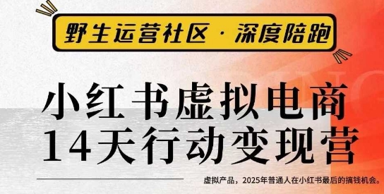 小红书虚拟电商14天变现训练营3.0，​虚拟产品，2025年普通人在小红书最后的搞钱机会-百货大全