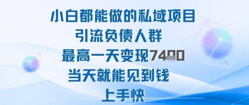 2025年小白都能做的私域项目引流负债人群最高一天变现1k+高变现难度低当天就能见到钱上手快-百货大全
