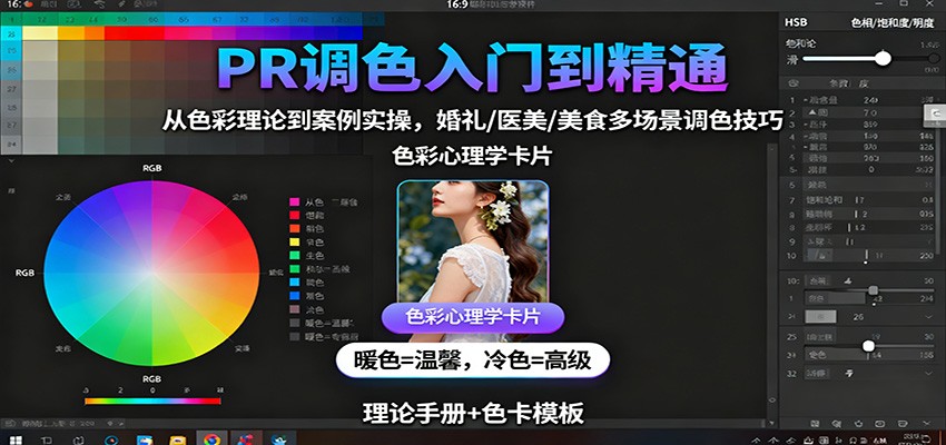 PR调色入门到精通:从色彩理论到案例实操,婚礼/医美/美食多场景调色技巧-百货大全