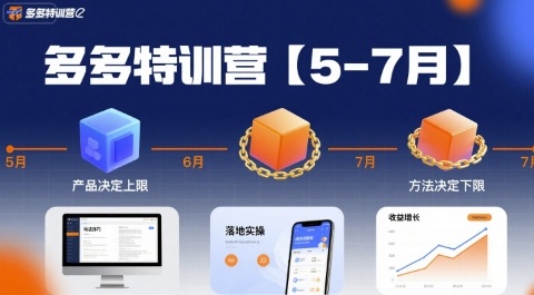 多多特训营，产品决定上限，方法决定下限，各种玩法技巧落地实操(更新)-百货大全