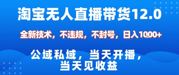 淘宝无人直播12.0，公域私域技术，不封号，不违规布局双十一流量风口，日入1k(独家技术)【揭秘】-百货大全