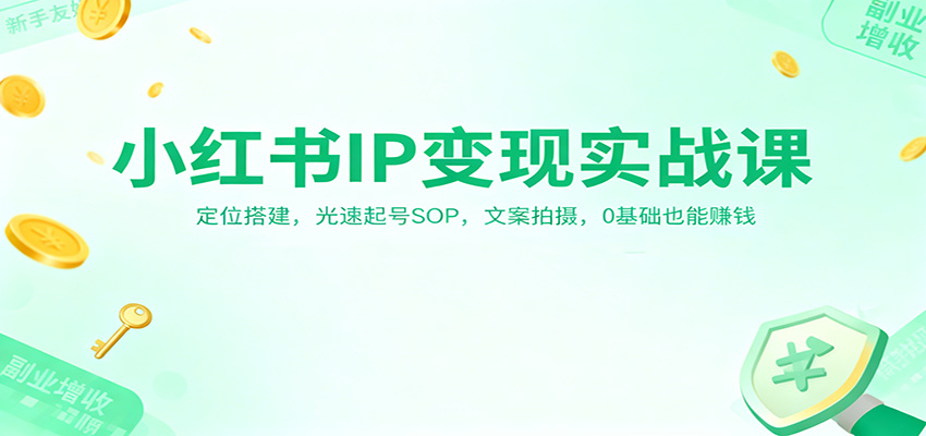小红书IP变现实战课:定位搭建,光速起号SOP,文案拍摄,0基础也能赚钱-百货大全