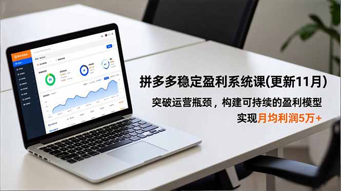 拼多多稳定盈利系统课(更新11月-百货大全
