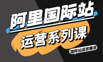 醒目老师·阿里国际站运营系列课(更新11月)-百货大全