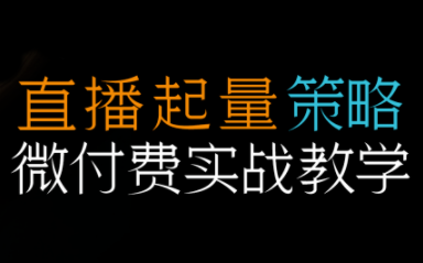 半野老师·直播带货起量与微付费必学课视频号-百货大全