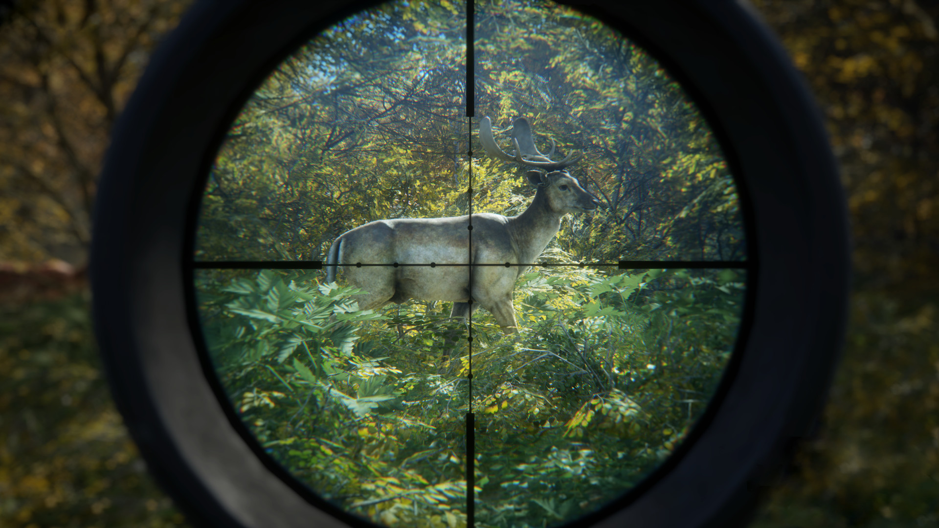 《猎人:荒野的召唤/theHunter: Call of the Wild》PC中文版下载-含v3101875-百货大全