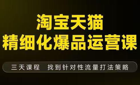 猫课子幽·淘宝天猫精细化爆品运营【音频+字幕+文档】(9月12-14杭州线下课)-百货大全