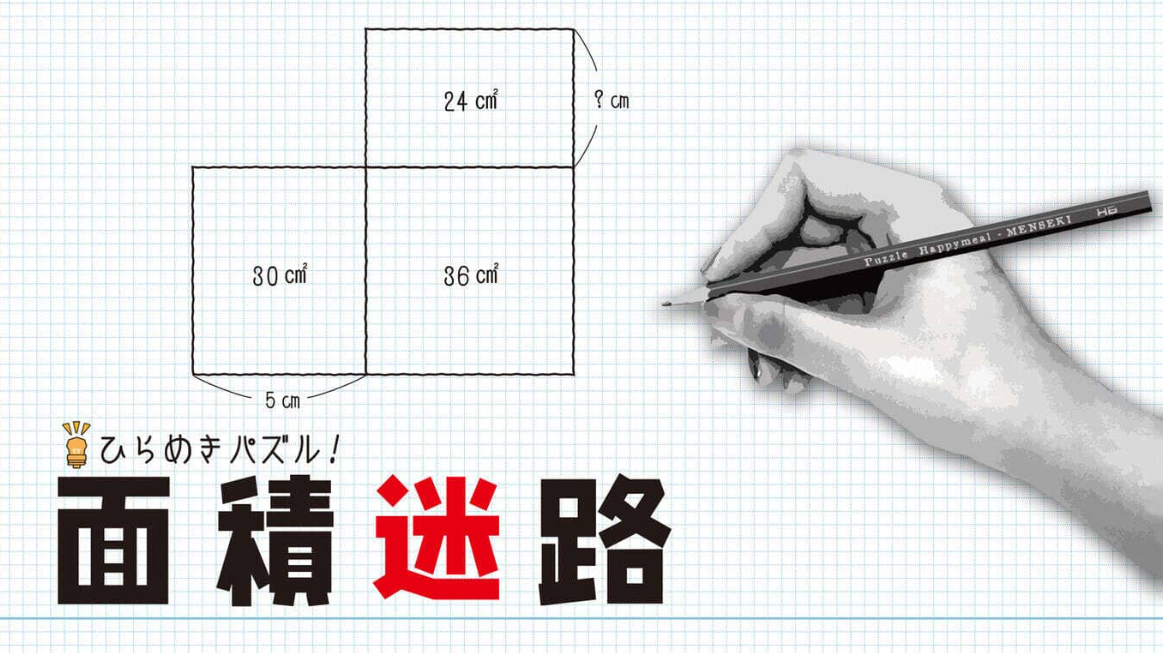 《闪烁的拼图 面积迷宫 MENSEKI Area maze puzzles》Switch英日文版NSZ下载-百货大全