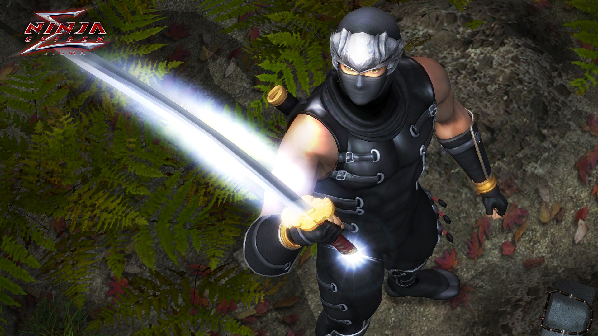 《忍者龙剑传：大师合集/NINJA GAIDEN: Master Collection》PC中文版下载-含v1.0.0.3-百货大全